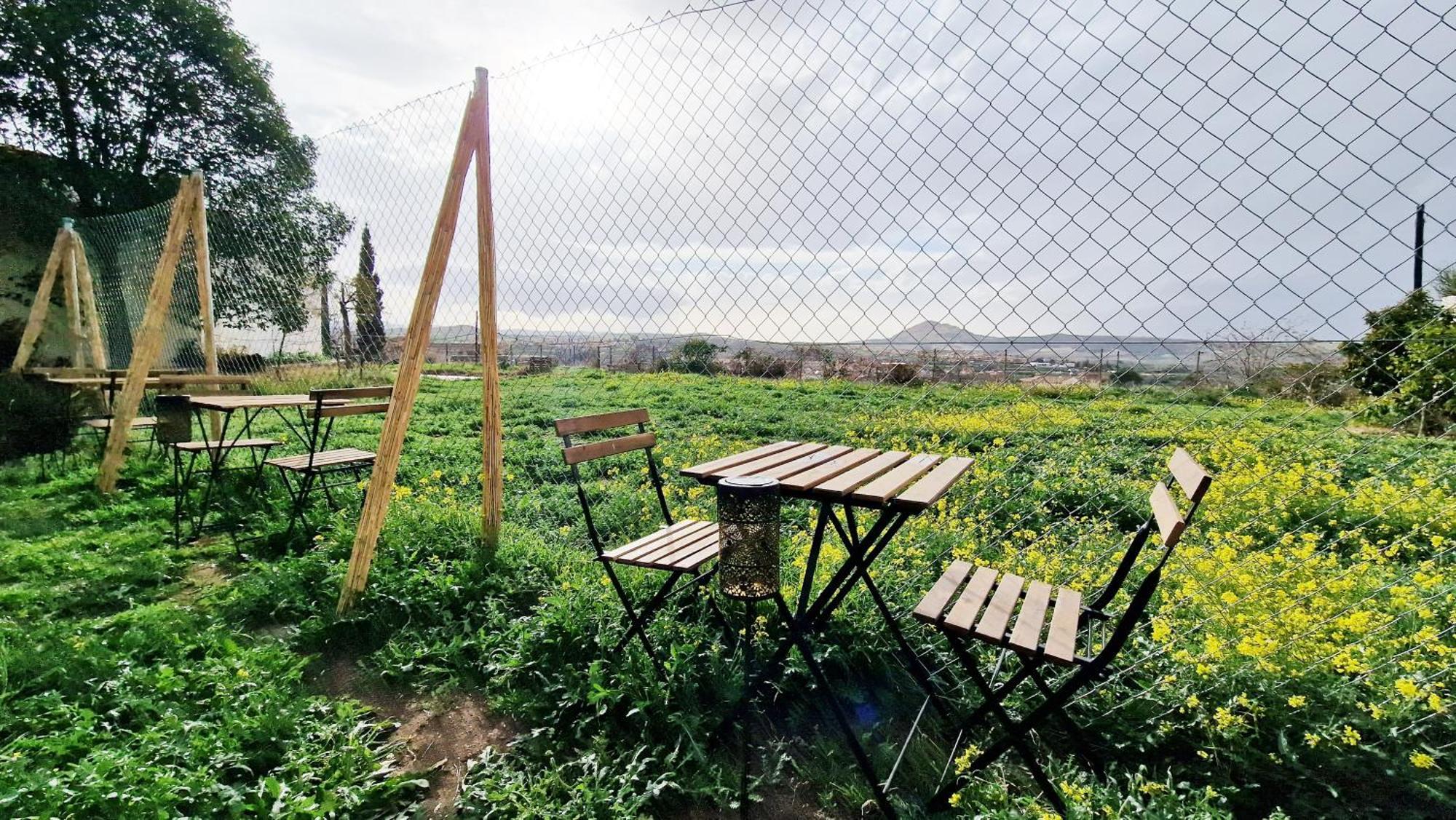 Aa Guest - Mulhacen Del Jardin Sierra Nevada Lägenhet Alhendín Exteriör bild